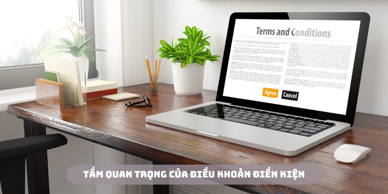 Điều khoản điều kiện vn88